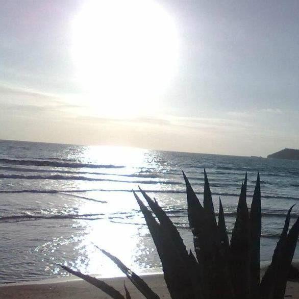 Mansardina Sassu * Alghero